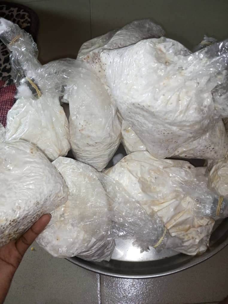 Mushroom Product 4 Image